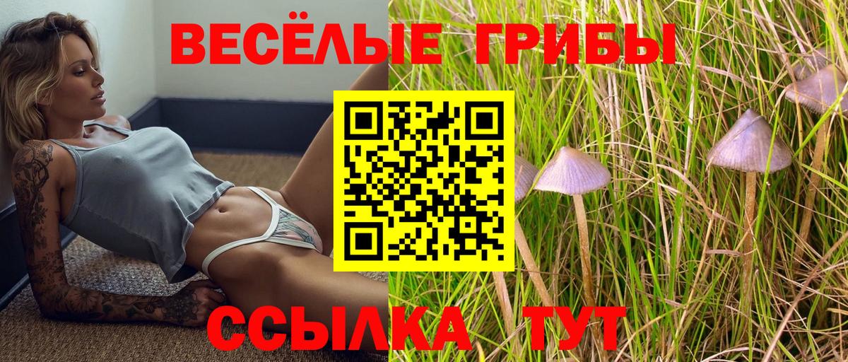 Галлюциногенные грибы прущие грибы  Вход с VPN  Иваново 